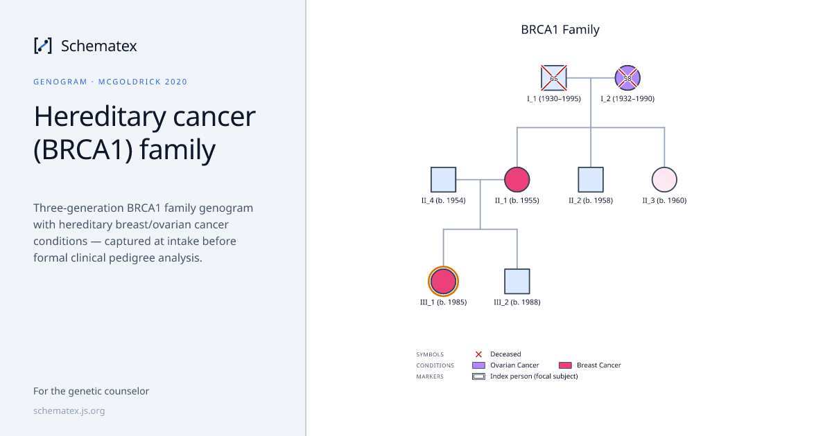 Hereditary cancer (BRCA1) family · Schematex