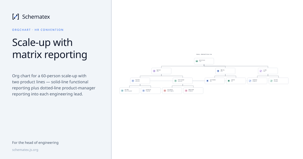 Scale-up with matrix reporting · Schematex