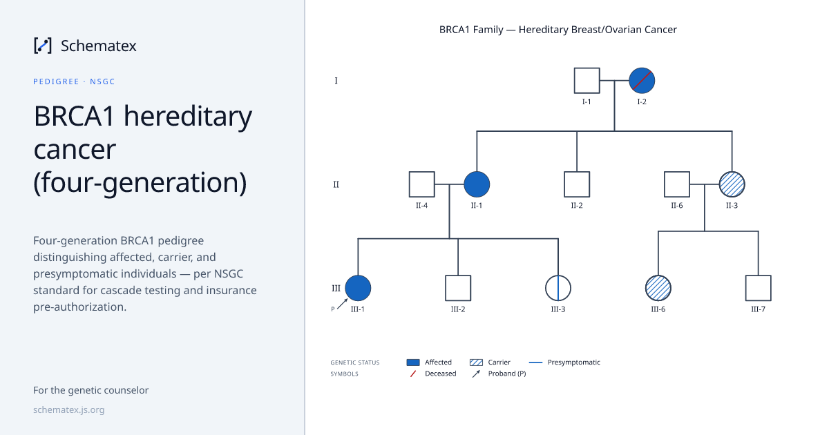 BRCA1 hereditary cancer (four-generation) · Schematex