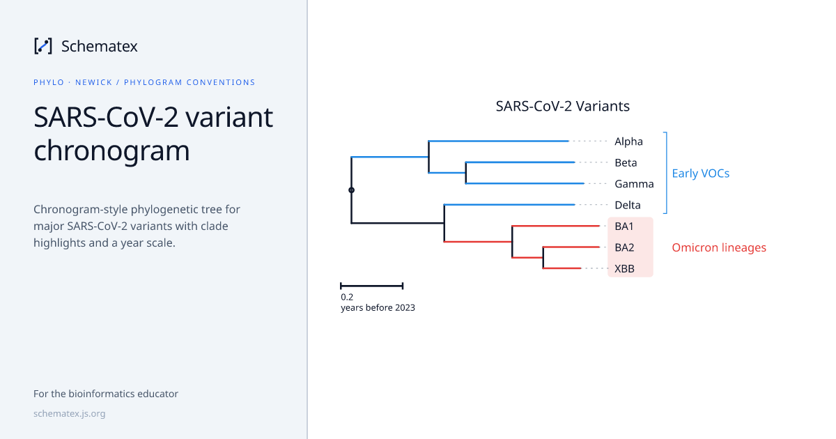 SARS-CoV-2 variant chronogram · Schematex